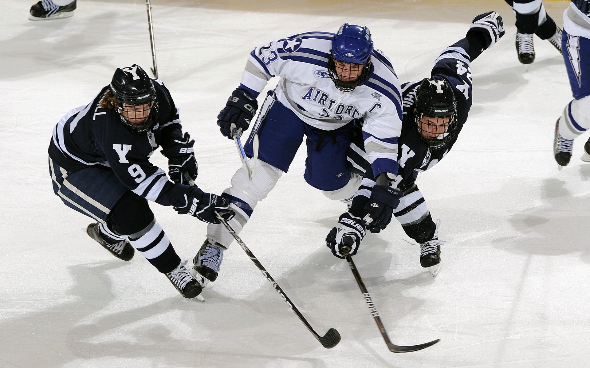 骑士横扫森林狼，塔图姆如何用节奏魔法掌控全局？
