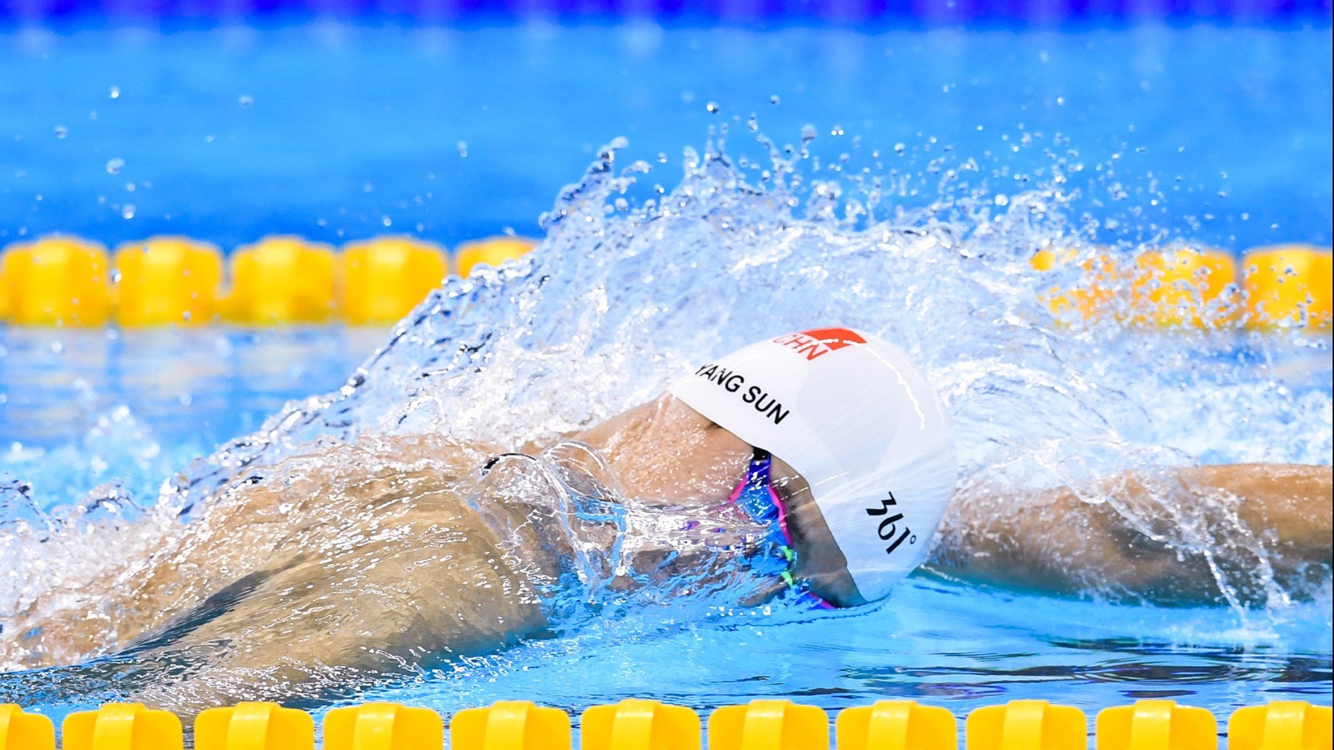 武切维奇，当芝加哥的太阳在迈阿密升起